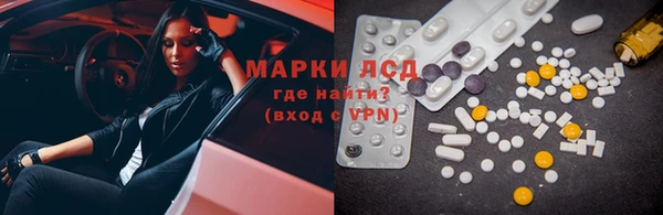 индика Нефтекумск