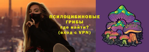 индика Нефтекумск