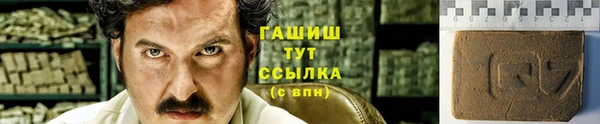 индика Нефтекумск