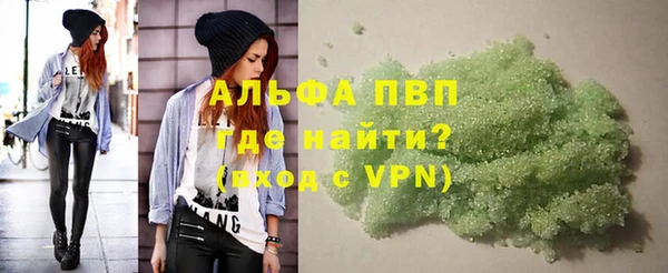 индика Нефтекумск