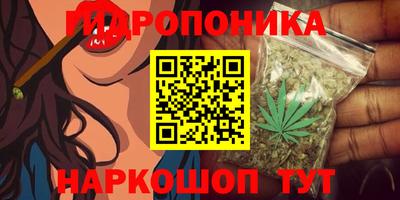 шишки Камышлов