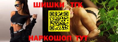 шишки Камышлов