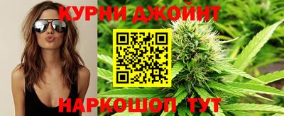 шишки Камышлов