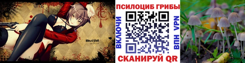 Галлюциногенные грибы Psilocybine cubensis  Киреевск 