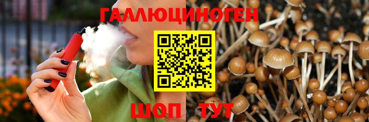 Псилоцибиновые грибы Psilocybe  Вход с VPN  Киреевск 