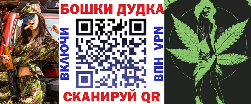 Бошки Шишки гибрид  купить наркотик  Киреевск 