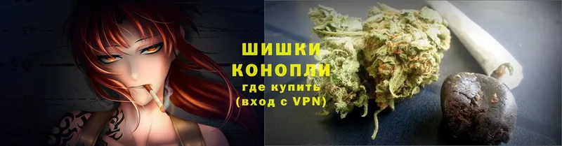 где продают наркотики  Киреевск  Бошки марихуана конопля 