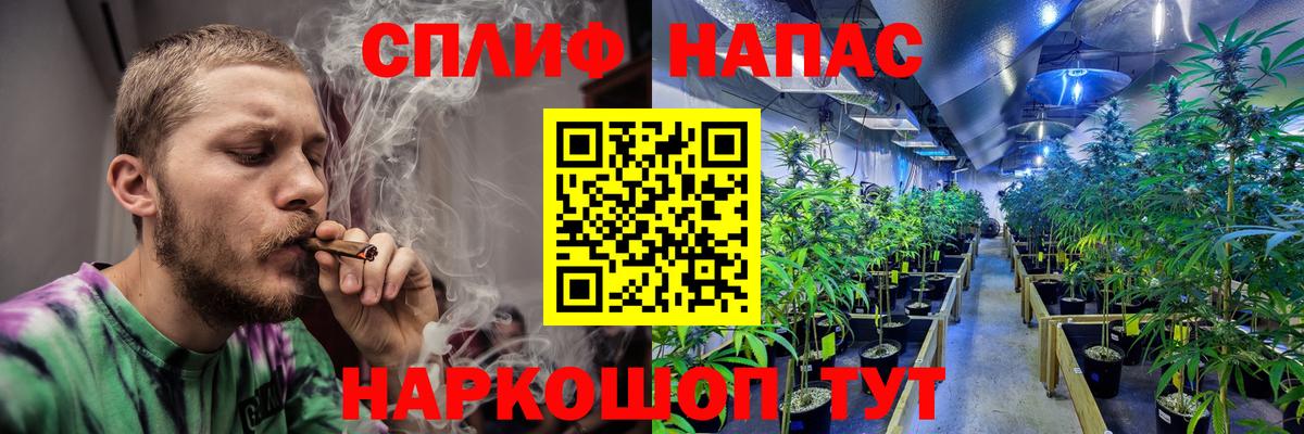 Бошки марихуана OG Kush Киреевск